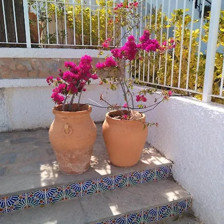 Romero Cabo Roig, Solárium Opcional *